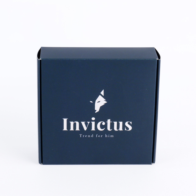 Custom Art Paper Box Double-Sided Printed Aircr...