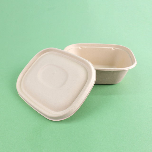 Sugarcane Bagasse Bowl Square Green and Environ...