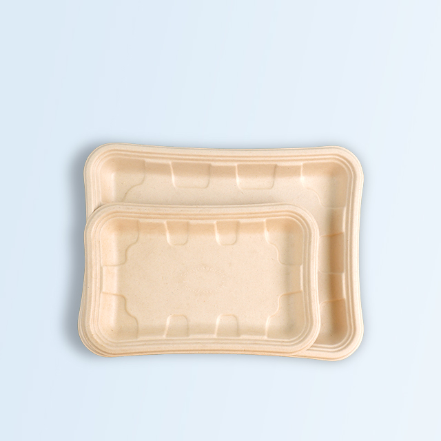 SenCai Biodegradable Compost Bagasse Square Plate Food ContainerUnbleached