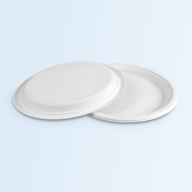 Custom Compostable Sugarcane Pulp Plate