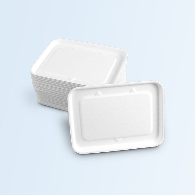 Environmentally Biodegradable Square Plate Food Container