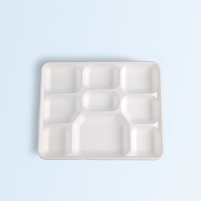 SenCai Sugarcane Bagasse Square Plate with 6 Compartments Food Containers