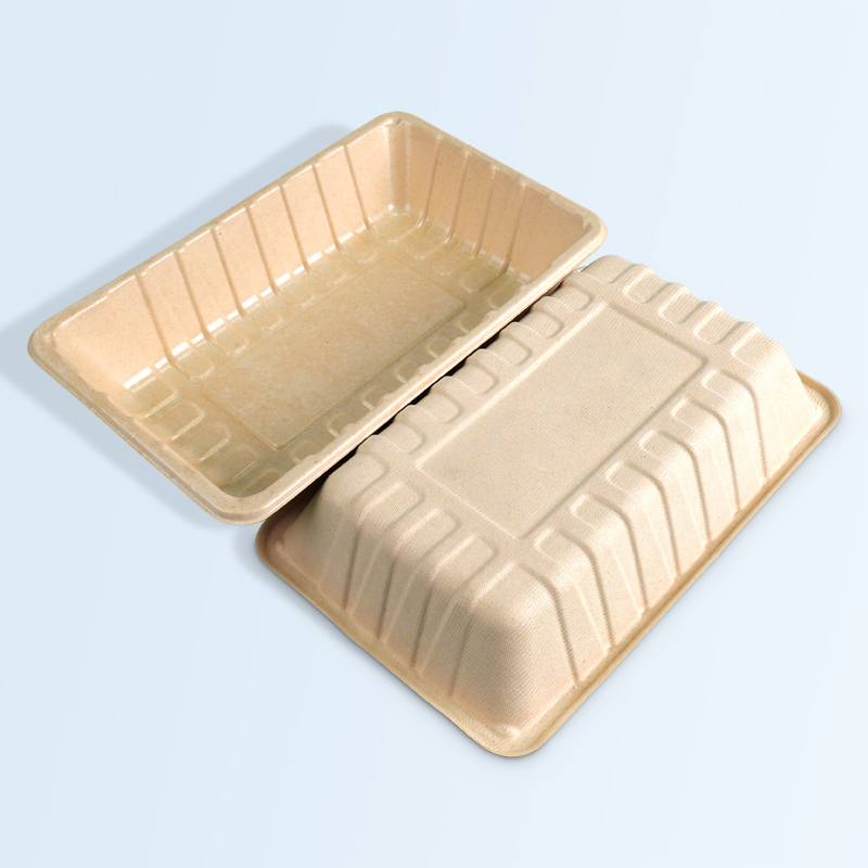 Eco Unbleached Sugarcane Pulp Square Meal Box