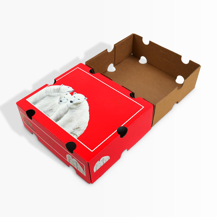 Cutie personalizată din carton ondulat – Design glisant, pliabilă