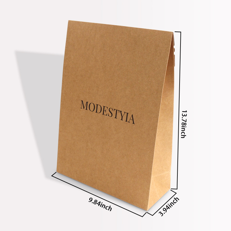 Custom Kraft Paper Envelope Bag with Double-Sided Tape & Easy Tear Strip