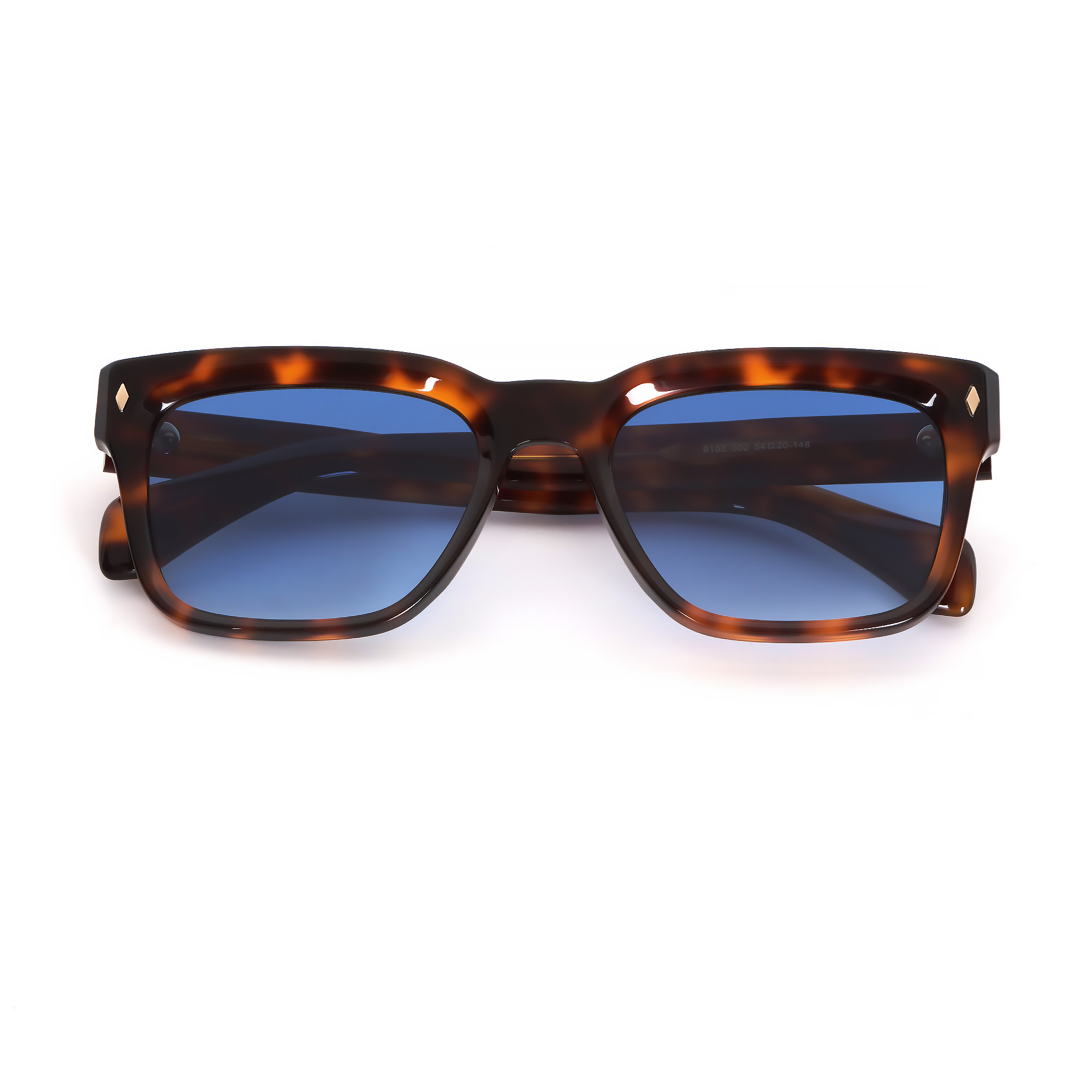 9193 Tortoise Square-Round Arrow Hinge Rivet Polarized 02.jpg