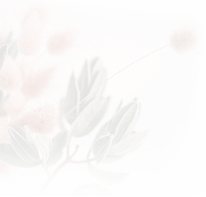 seksyon_bg