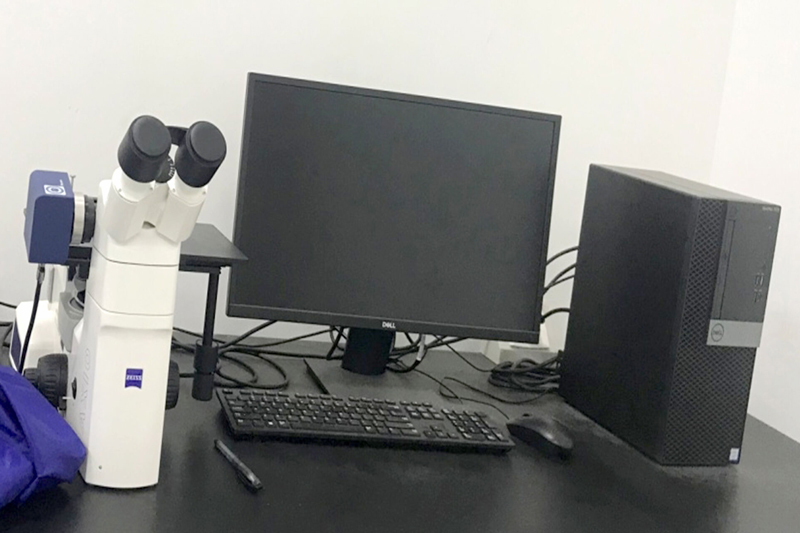 Zeiss-Microscope