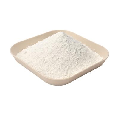 Ground Calcium Carbonate (Food Additives)