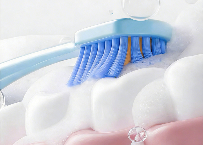 （Toothpaste）2