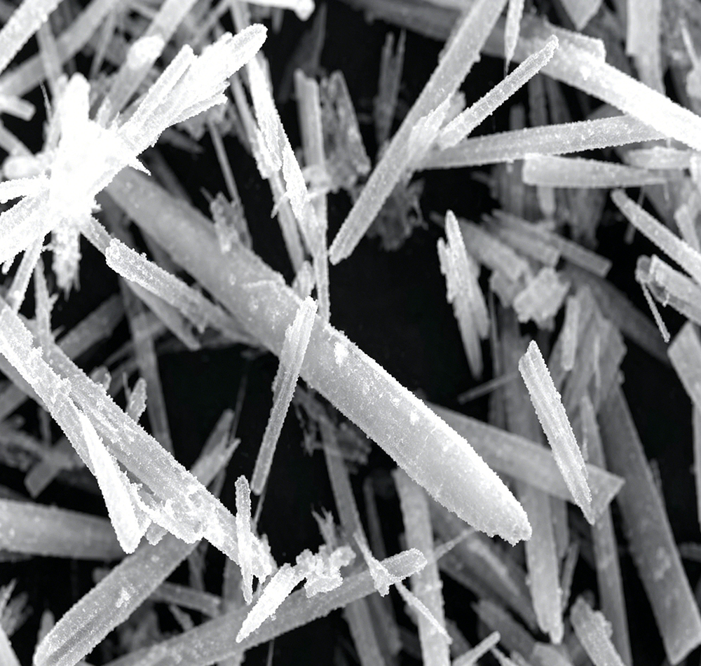 Electron microscopy image of needle shaped nano calcium carbonate.jpg