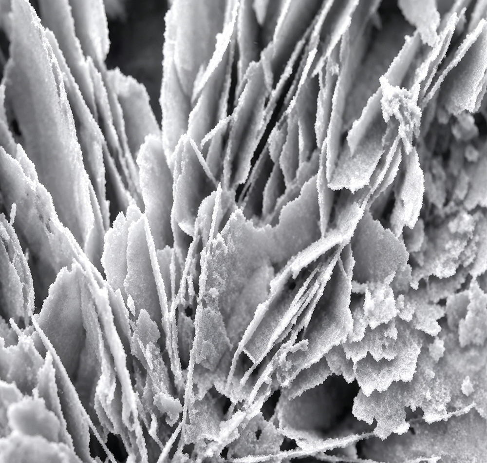 Electron microscopy image of sheet-like nano calcium carbonate.jpg