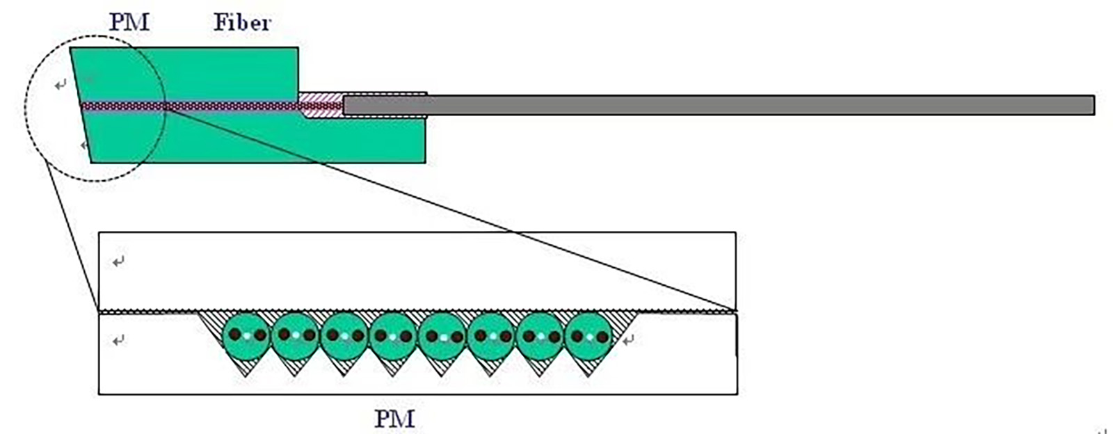PM FAU (3)