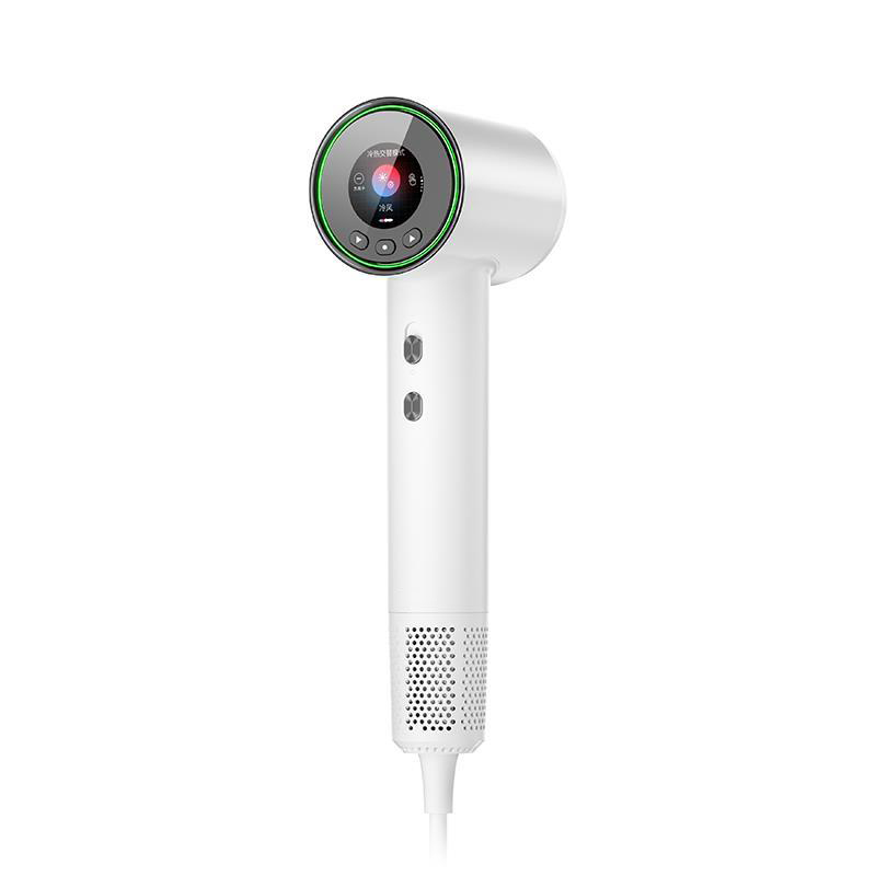 High Speed Hair Dryer 110000RPM 1600W Brus...