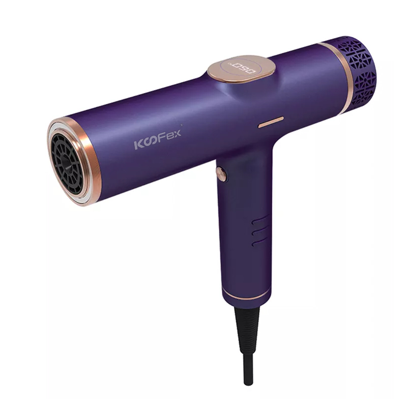 KooFex Professional High Speed Hair Dryer ...