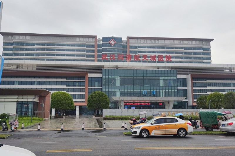 Wuhan Hospital