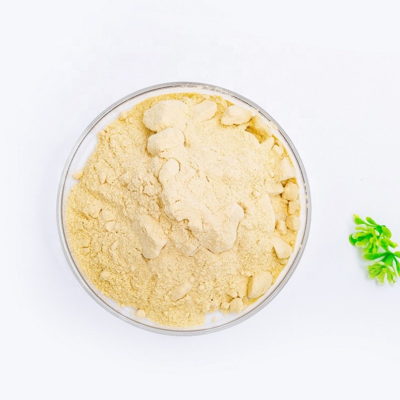 Poudre de protéines de poisson biologique de qualité agricole, engrais organique à microparticules (1).jpg