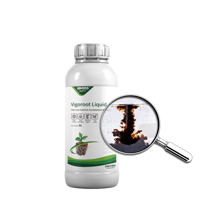 Engrais foliaire liquide Vigoroot à base d'algues biologiques solubles dans l'eau