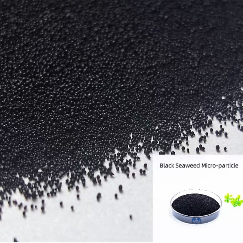 Agriculture Biostimulant Extrait d'algues noires Flocons Poudre Microparticules Engrais (1)