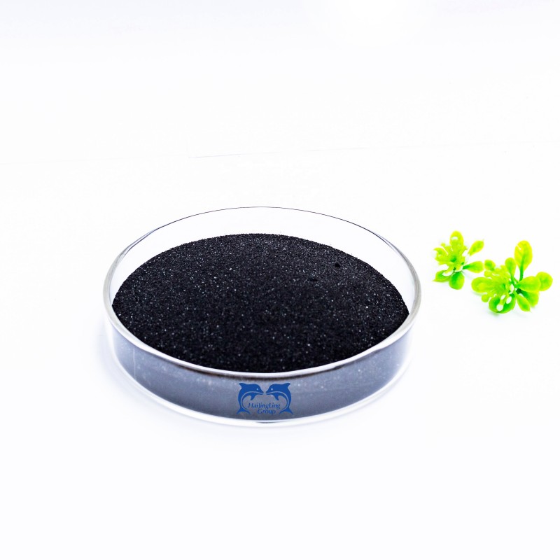 Agriculture Biostimulant Extrait d'algues noires Flocons Poudre Engrais à microparticules (3).jpg