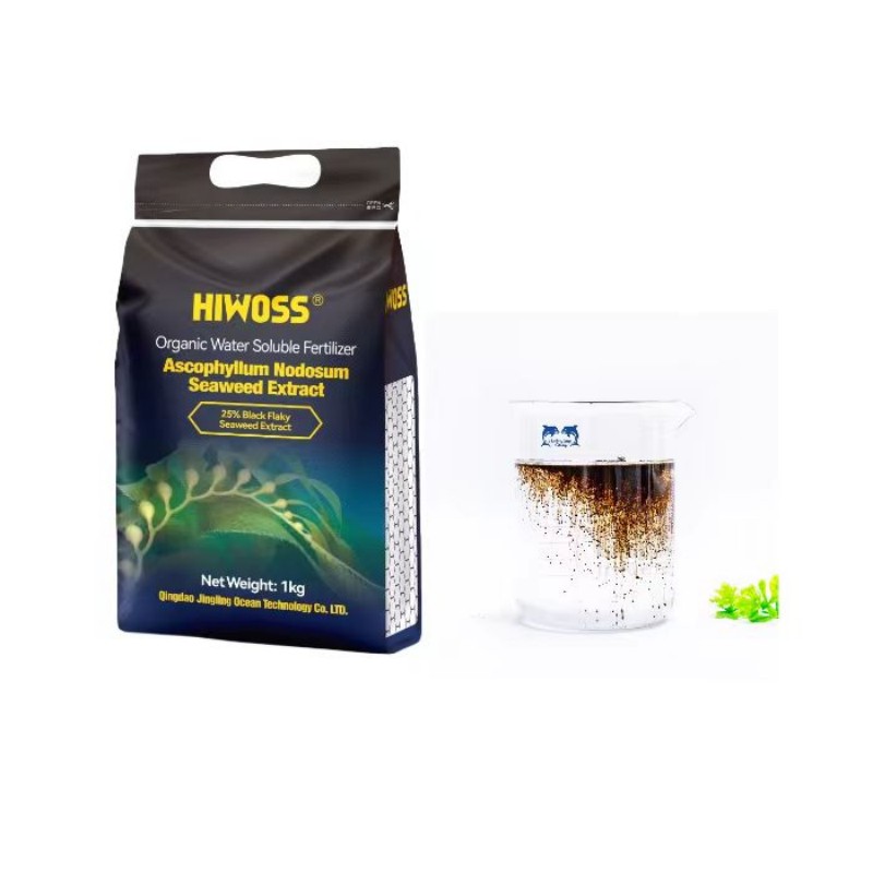 Agriculture Biostimulant Extrait d'algues noires Flocons Poudre Microparticules Fertilisation.jpg
