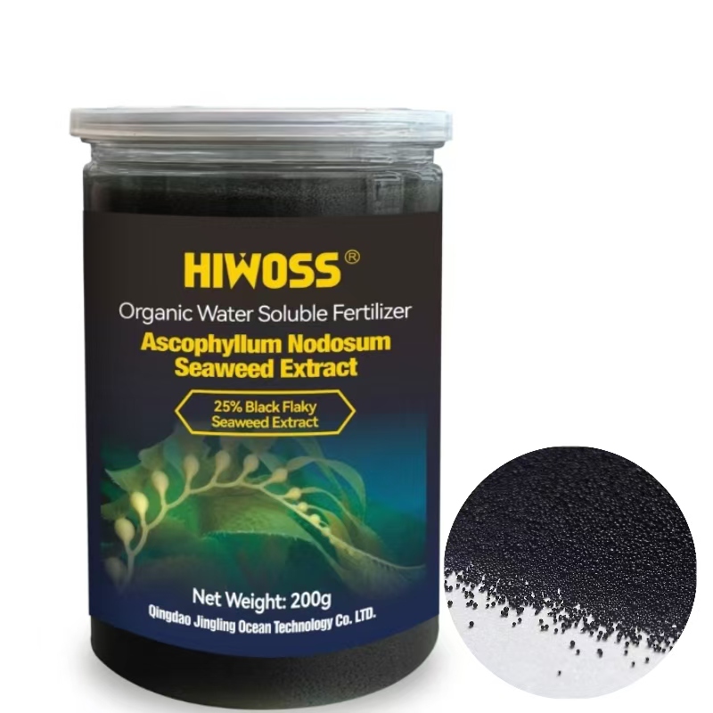 Engrais microparticulaire en poudre d'extrait d'algues noires biostimulant agricole (1).jpg