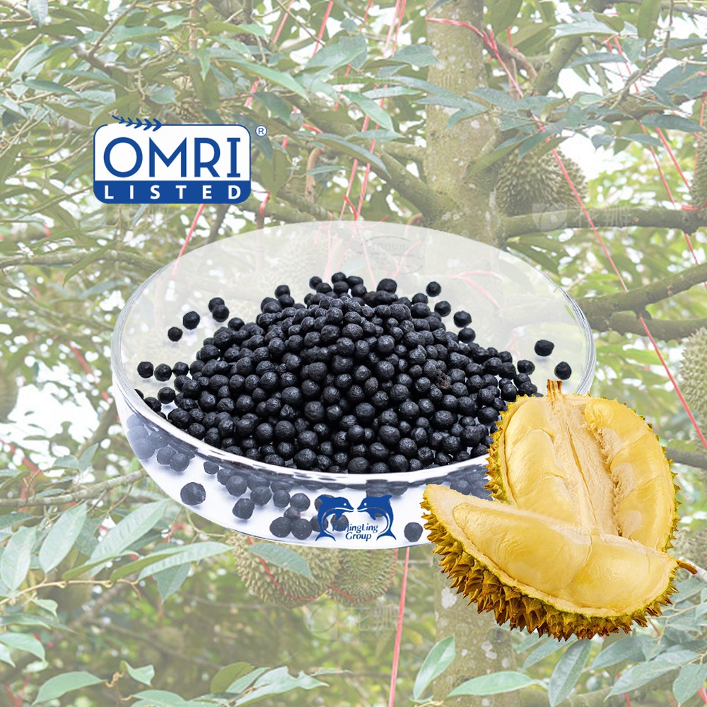 Engrais granulaire organique à base d'algues marines, biostimulant agricole (5)