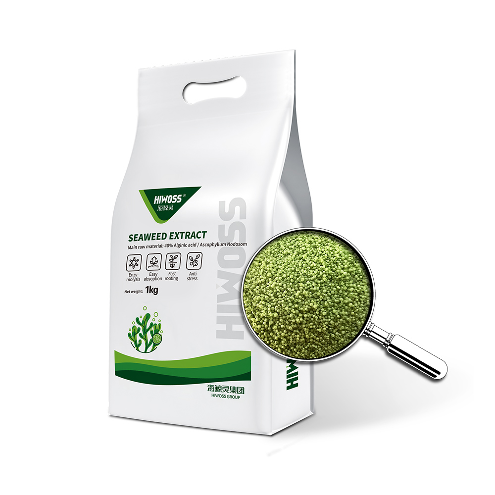Earrann feamainn meanbh-ghràin uaine DF, todhar foliar searbhag alginic soluble ann an uisge