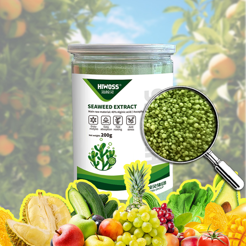 Engrais foliaire à base d'extrait d'algues micro-particulaires Green DF, acide alginique soluble dans l'eau (4)