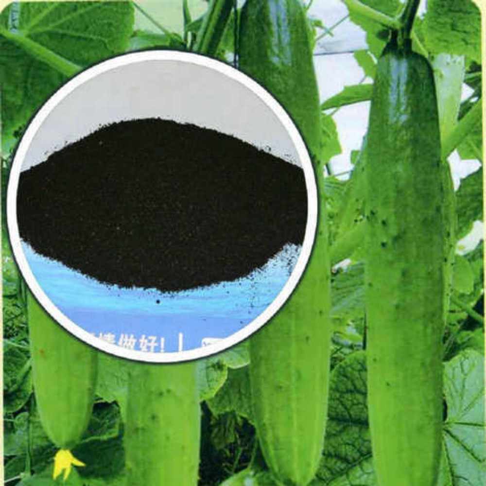 Toraidhean Biostimulant Todhar Àiteachais le Aigéad Humic ann an Àiteachas (5)