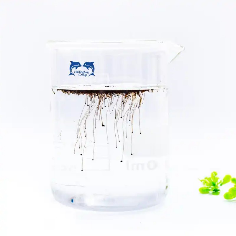 Engrais humique potassique soluble dans l'eau avec acide humique pour la fertilisation foliaire biostimulante agricole