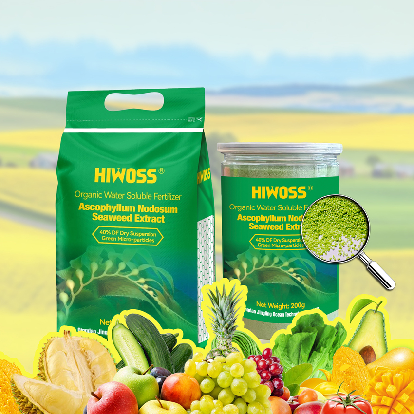 Biological Enzymolysis Water Soluble Organic Seaweed Extract Fertilizer
