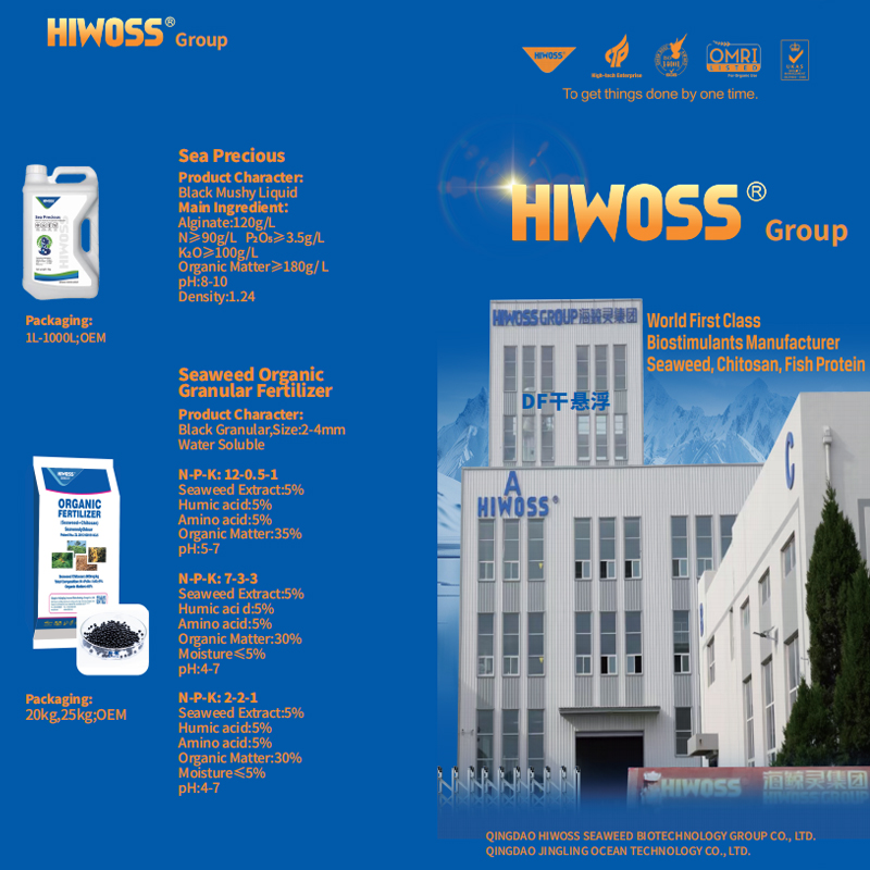 2025 Product Sample Book