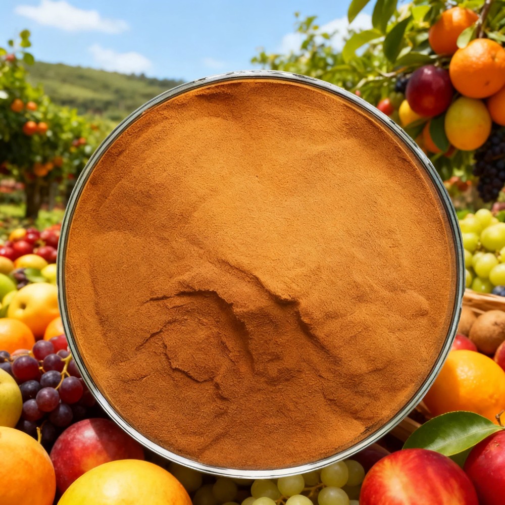 Poudre d'acide fulvique BIO d'excellente qualité agricole 50 % d'acide fulvique (1)