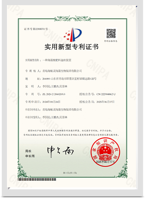certificat (6)