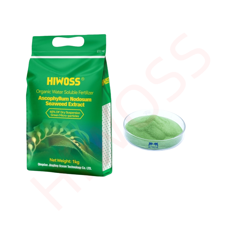 Best Seaweed Fertilizer for Agriculture NPK Balanced Ascophyllum Nodosum Formula