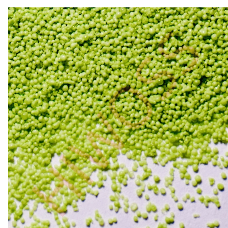 Seaweed Fertilizer for Grass High-Efficiency Root Growth Formula Competitive Price