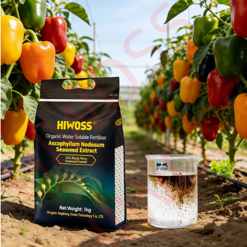 Organic Fertilizer For Plants Seaweed Extract Fertilizer