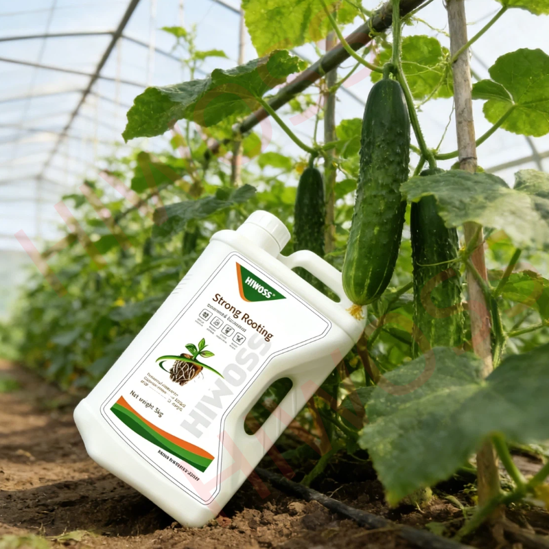 Premium Bio Fertilizer Organic Seaweed Formula for Stronger Plant Roots