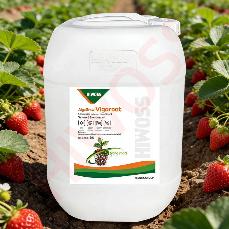 Seaweed Biostimulant Liquid Fertilizer for Strawberry