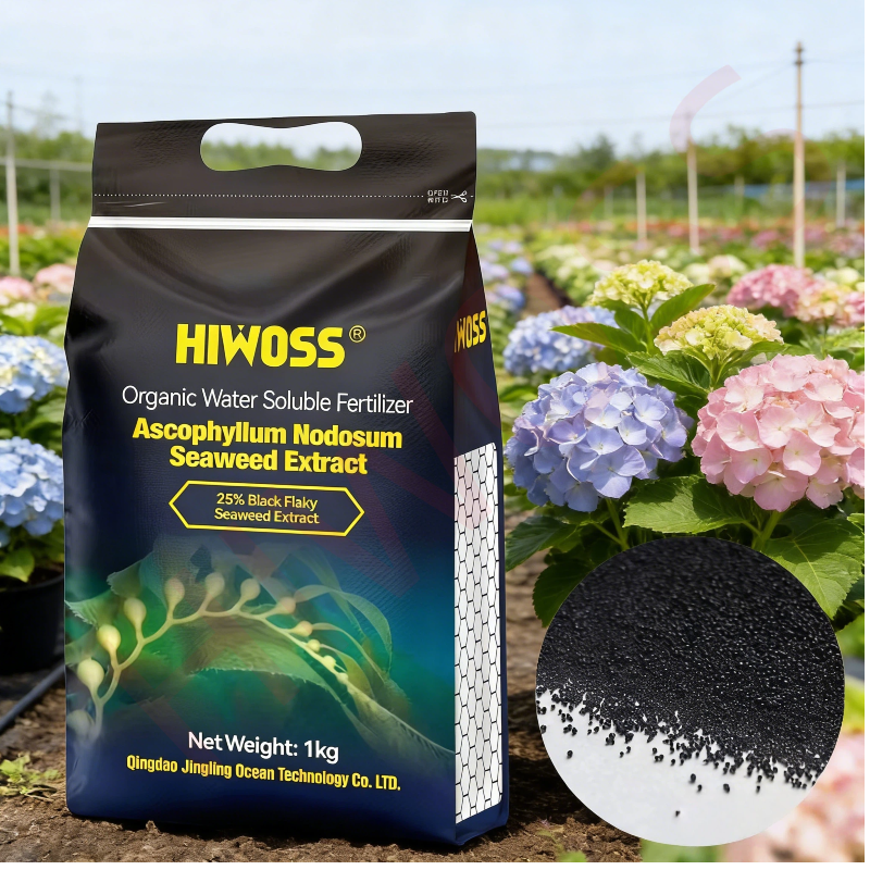 A bheil hydrangeas dèidheil air todhar feamainn?