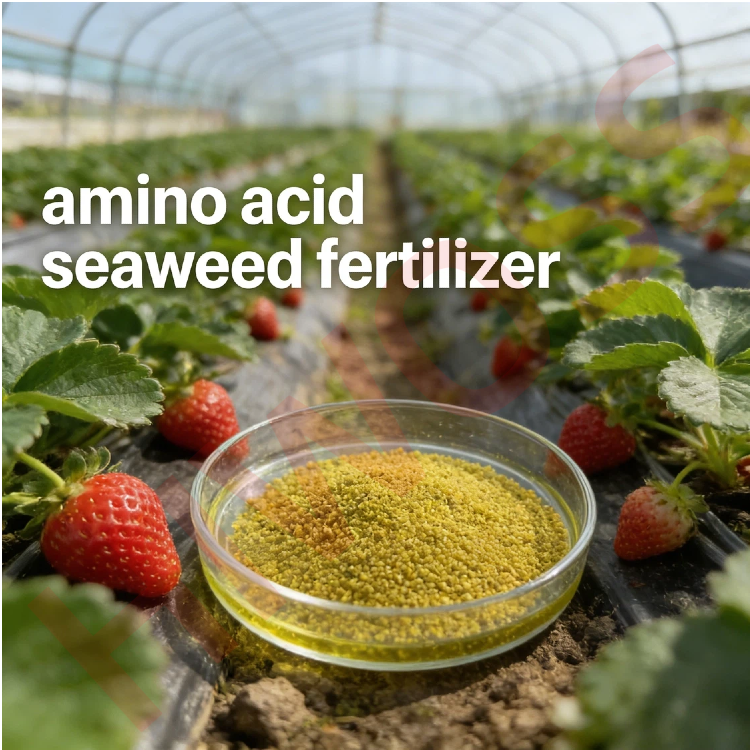 DF SAM777 Amino Acid Seaweed Extract Fertilizer