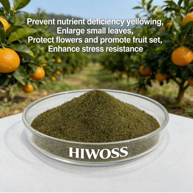 HIWOSS DF STM888 Seaweed Extract Compound Trace Element Fertilizer