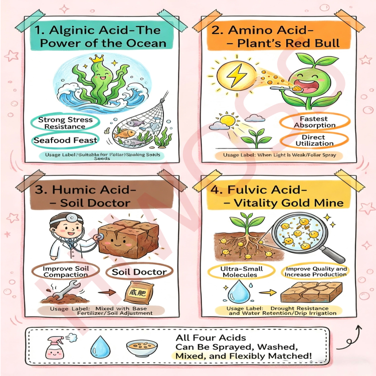 An Stiùireadh B2B 2026 airson Stuthan Amh Bio-Stimulant: Algainate, Amino-aigéid, Aigéad Humic & Fulvic