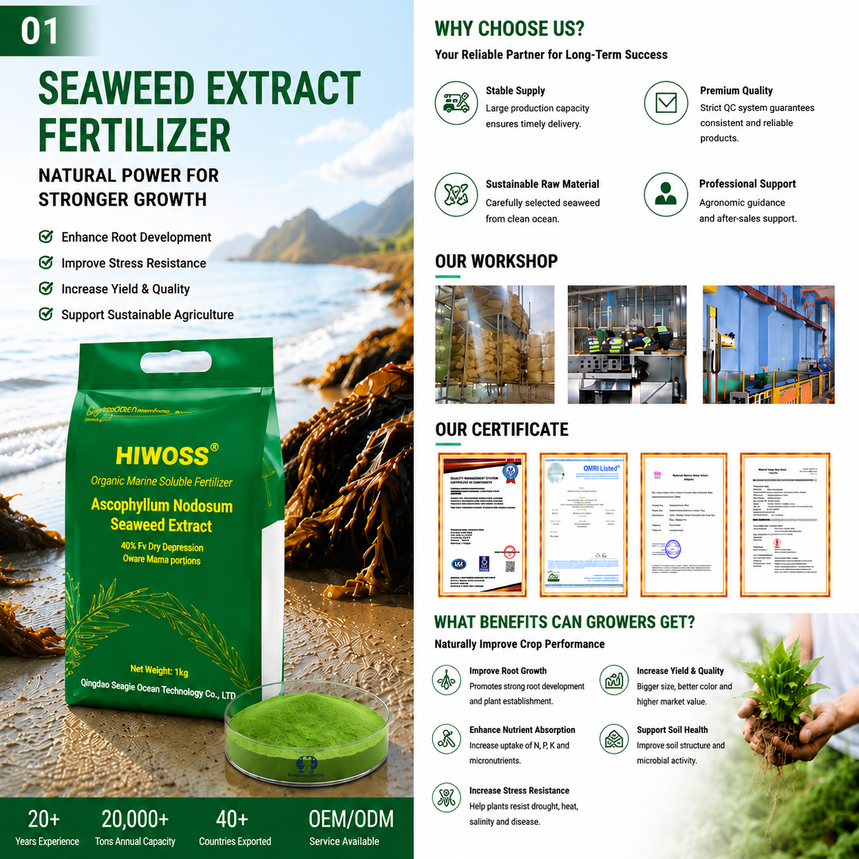 Seaweed Extract Manufacturer OEM/ODM Services