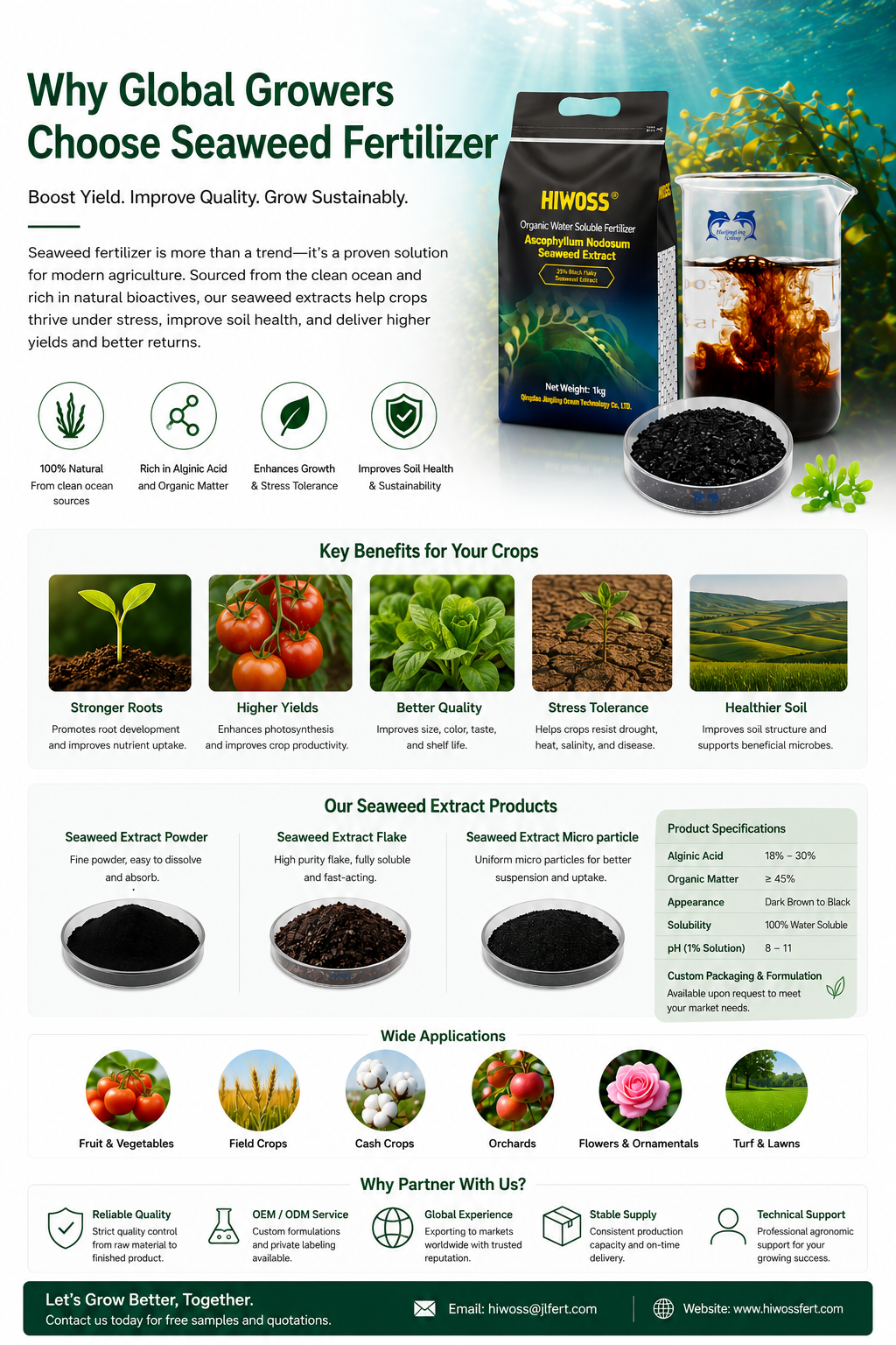 Premium Seaweed Extract Powder Manufacturer | Bulk Seaweed Fertilizer Supplier from China