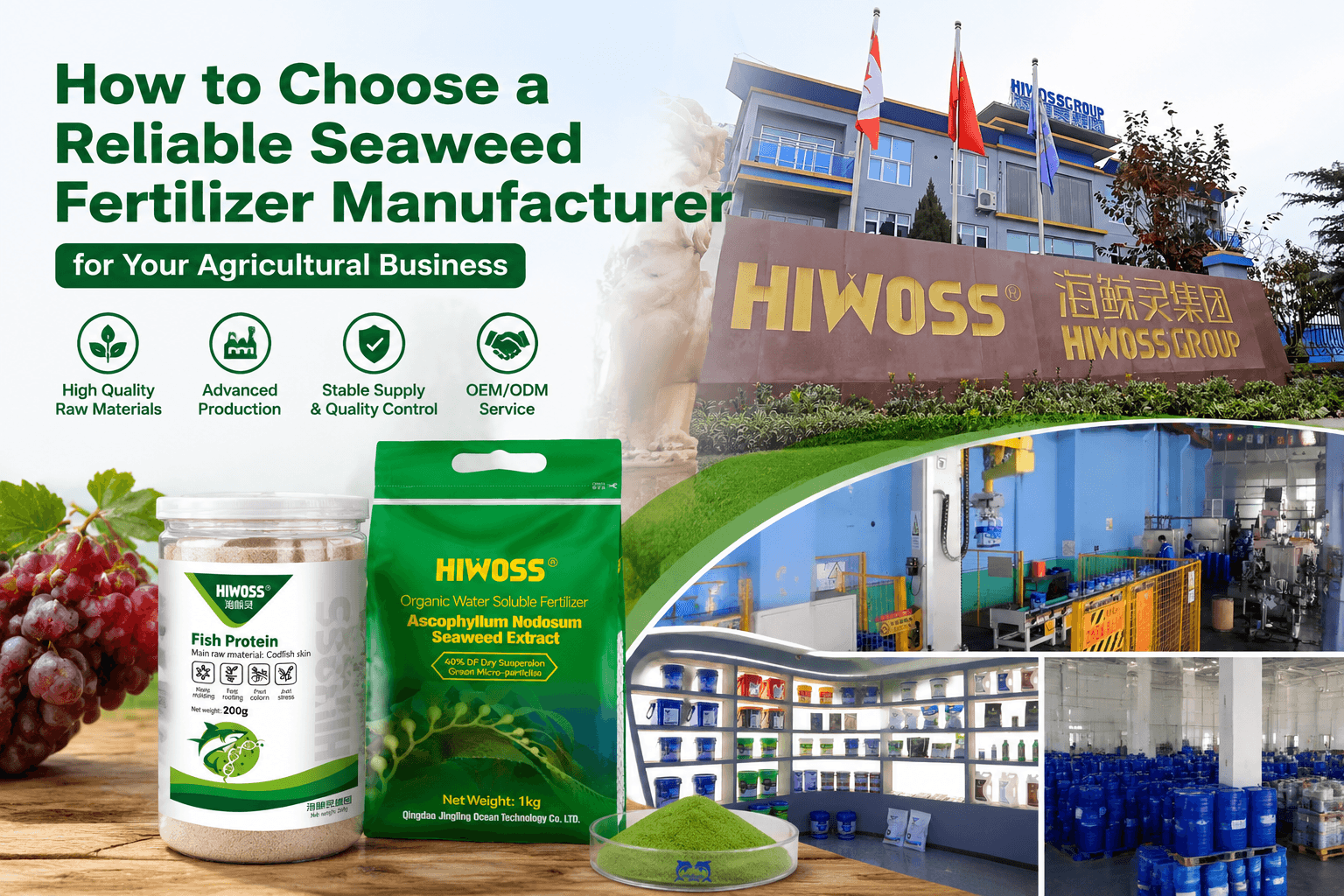 How to Choose a Reliable Seaweed Fertilizer Manufacturer for Your Agricultural Business