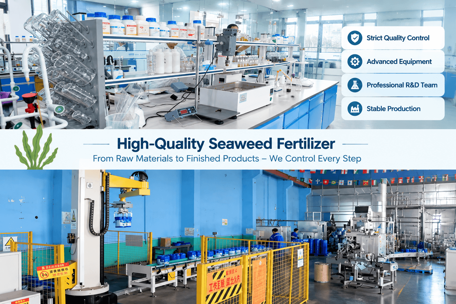 How to Choose a Reliable Seaweed Fertilizer Manufacturer?