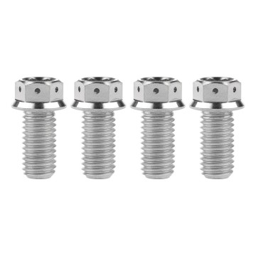 Dual-Drive Titanium Hex Flange Bolt for Motorcycles & Precision Use