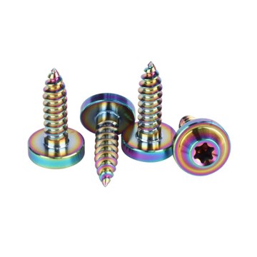Titanium UFO Head Torx Self Tapping Bolts